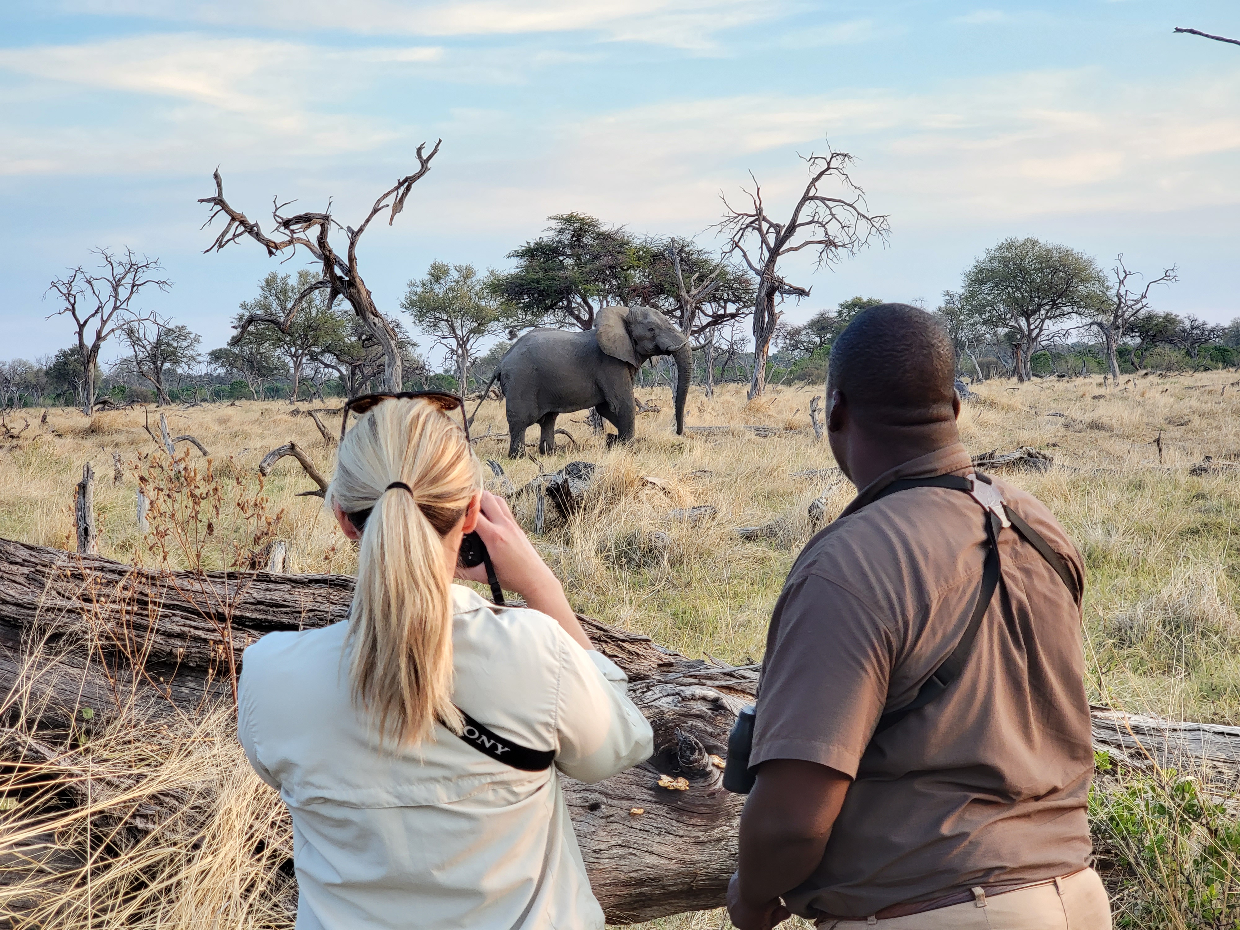 African safari – Botswana, Part 2