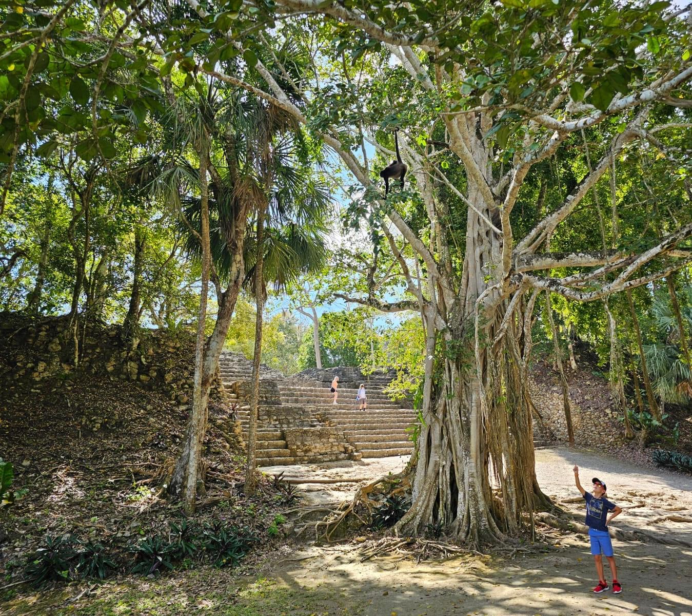 Family Caribbean cruise